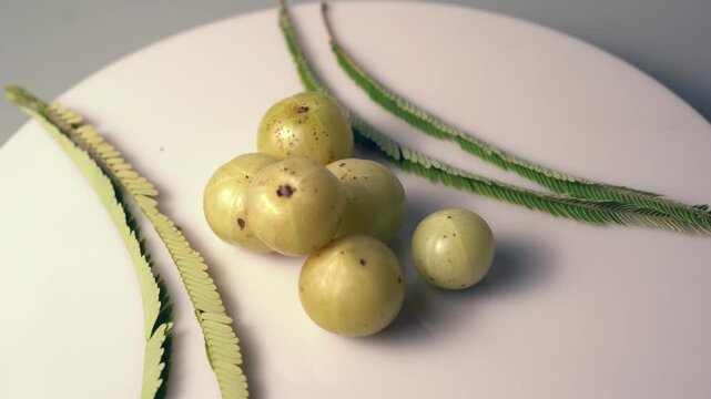 Fresh Indian Amla (Indian Gooseberry) Rich in Vitamin C, Ayurvedic Superfruit, Organic Herbal Ingredient, Natural Antioxidant, Healthy Nutrition, and Wellness