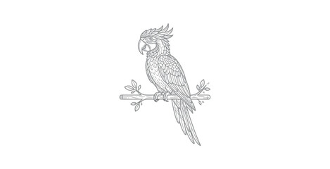 Cockatoo Parrot Line Art Vector Illustration © mbendo