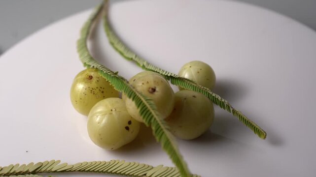 Fresh Indian Amla (Indian Gooseberry) Rich in Vitamin C, Ayurvedic Superfruit, Organic Herbal Ingredient, Natural Antioxidant, Healthy Nutrition, and Wellness