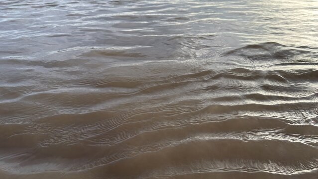 Gentle ripples create a soothing texture on the murky water surface