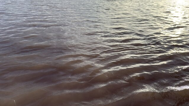 Gentle ripples spread across the water surface reflecting soft sunlight
