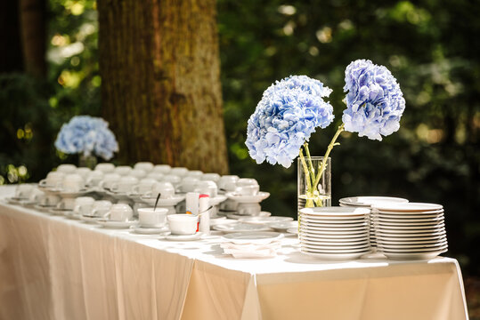 A table in the hotel garden with coffee cups. Coffee time.
