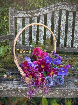 handpicked summer flowers in basket on weathered bench in a garden