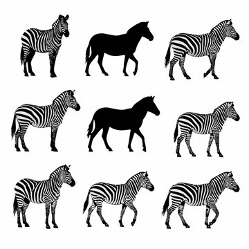 Professional zebra silhouettes artwork on bright white background