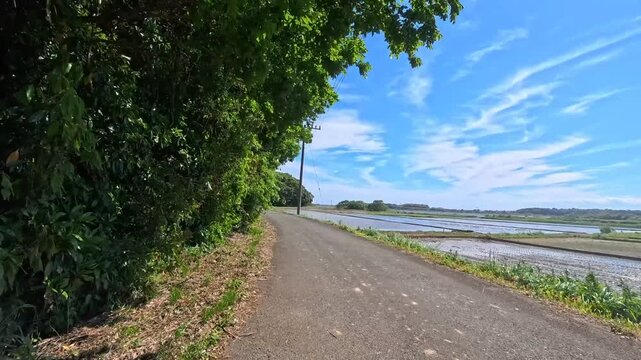 POV walking along a scenic riverside path in Japan