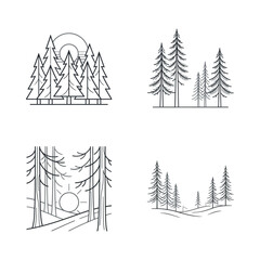 Fototapeta premium Serene forest landscape featuring tall pine trees and a setting sun in the background