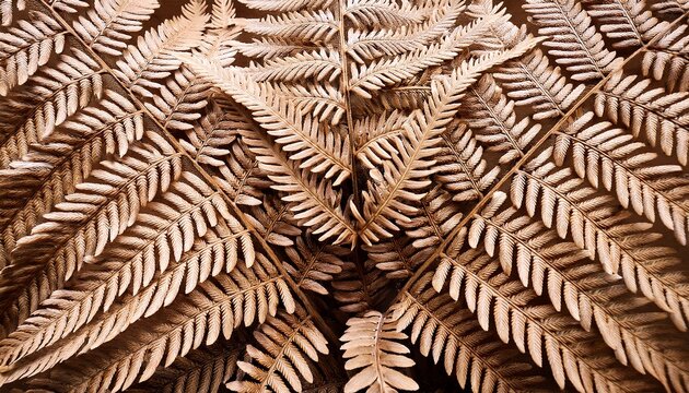 Beige Botanical Fern Leaf Background