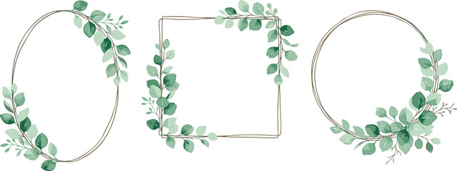 Elegant eucalyptus leaf frames vector set in oval square and round shapes isolated on white background © MdNazmul
