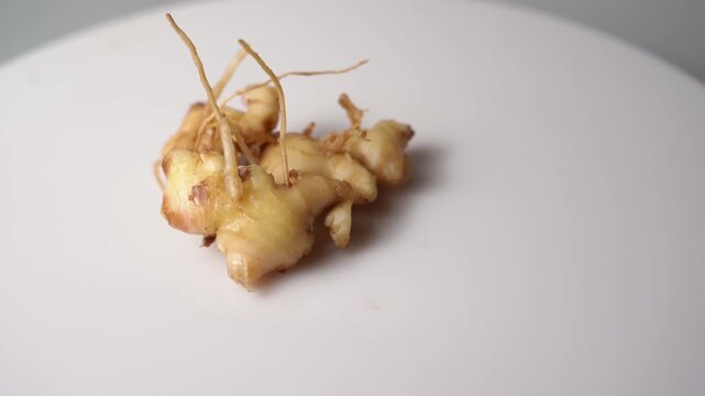 Fresh Ginger Root (Zingiber officinale) Organic Herbal Spice, Ayurvedic Medicinal Ingredient, Natural Antioxidant, Healthy Cooking, and Wellness
