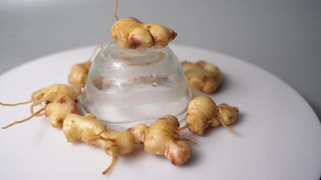 Fresh Ginger Root (Zingiber officinale) Organic Herbal Spice, Ayurvedic Medicinal Ingredient, Natural Antioxidant, Healthy Cooking, and Wellness