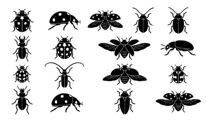 Ladybug beetle insect wing shell pattern and black silhouette vector collection © Jahangir