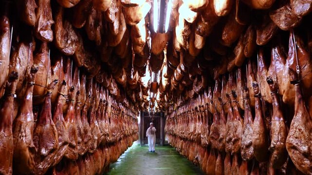 Iberian Pork Ham Drying Facility in the town of Jabugo in the Municipality of Jabugo in the Sierra de Aracena and Picos de Aroche Natural Park in Sierra Morena. Province of Huelva. Andalusia. Spain.