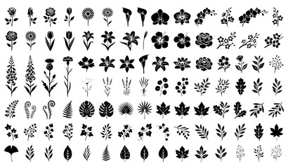 Obraz premium Black Flower and Leaf Silhouette Vector Collection with Botanical Floral Elements