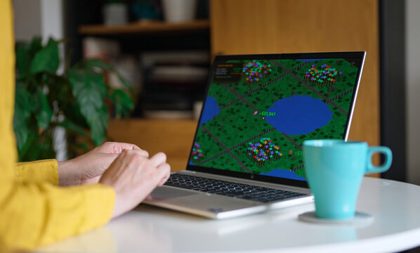 Woman playing economic strategy game on laptop.
