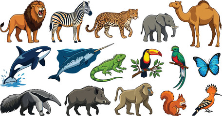 Diverse wild animals and birds vector collection featuring lion zebra elephant killer whale toucan iguana and camel isolated on white background. © Rumi