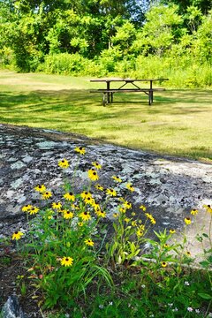 Summer Picnic table in the park