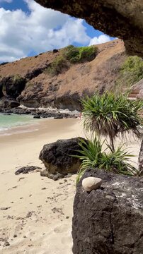 Tropical sandy beach view with rocks and palm trees.