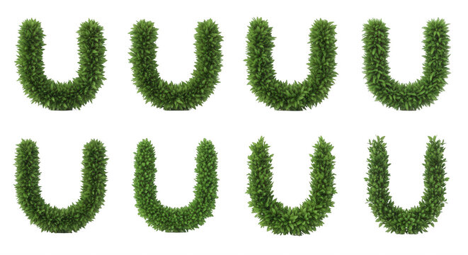 several leafy green letter u shaped objects placed against a bright white background used in decorative graphic design