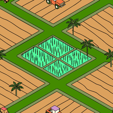 pattern, vector, graphic, rice fields, vegetable gardens, pastures, agricultural sector, grass, bushes, beds, haystacks, lines, intersections, structure, view, seamless pattern, print, wallpaper