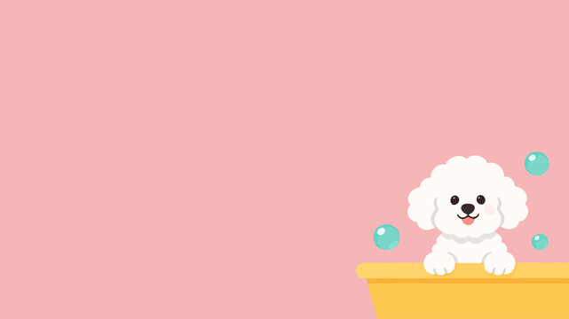 Cute white poodle dog taking a bath with soap bubbles in a yellow tub on a pink background vector illustration
