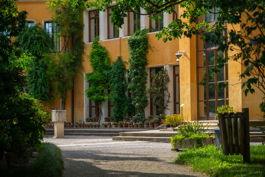 University of Padua Historical Botanical Garden