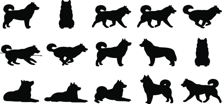 Alaskan, Malamute, dog, silhouette, vector, set, collection, standing, sitting, running, walking, pose, pet, canine, purebred, isolated, graphic, design, illustration, icon