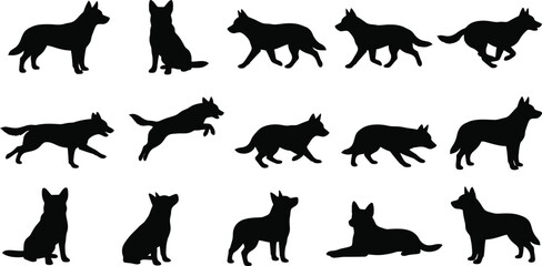 Husky, dog, silhouette, vector, set, collection, standing, sitting, running, walking, pose, pet, canine, purebred, isolated, graphic, design, illustration, icon © RAFI