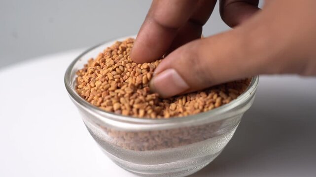 Organic Fenugreek Seeds (Methi) Natural Ayurvedic Spice, Herbal Ingredient, Healthy Cooking, Medicinal Seed, Rich Nutrition, and Traditional Wellness
