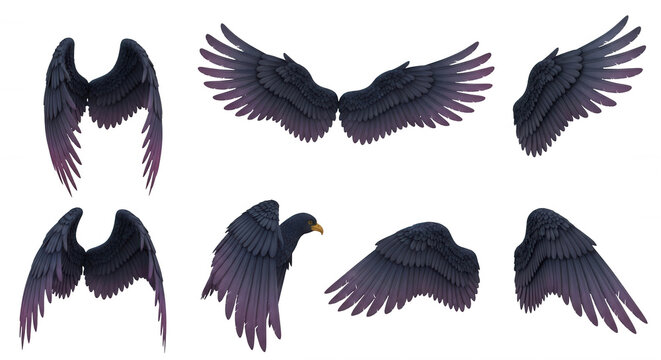 various angles of dark angel wings shown against white background fantasy projects and design needs