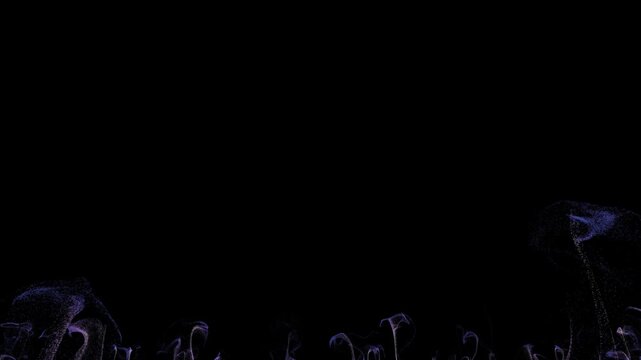 A slow 4K CGI animation of glowing blue and violet particle formations gradually rising like mysterious deep-sea plants and gently dissipating on a black background. Suitable for underwater VFX, fanta