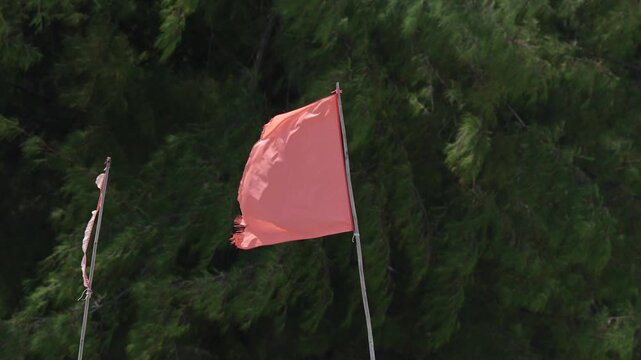 Red flag warning flag in wind with torn fabric on flagpole, outdoor tree background, safety signal fluttering in strong breeze beside green forest, caution marker near beach trail, moody daylight