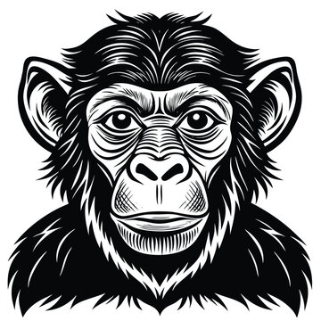 monkey silhouette icon set. Animals logos collection and isolated on White background