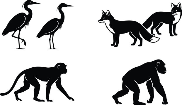 Wild Animals Silhouette Vector Set Featuring Crane Heron Fox Monkey and Chimpanzee Illustrations