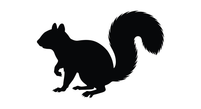 Squirrel Silhouette Against A White Background Black Shape