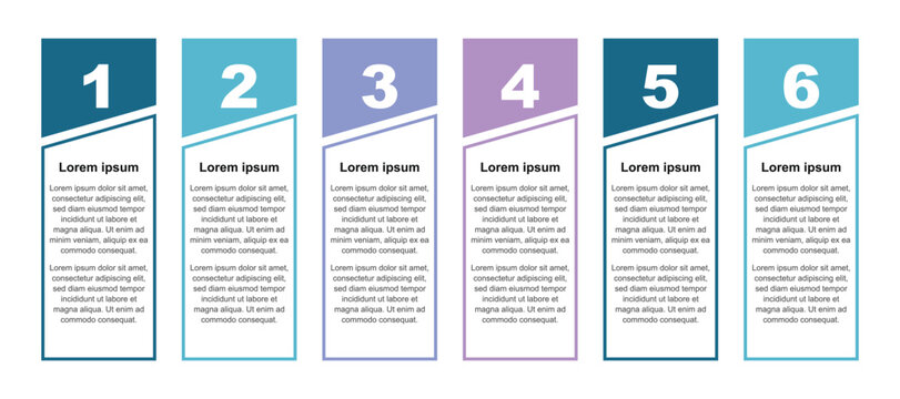 Minimalist business infographic layout featuring six vertical columns with colored header tabs numbers and structured placeholder text description blocks
