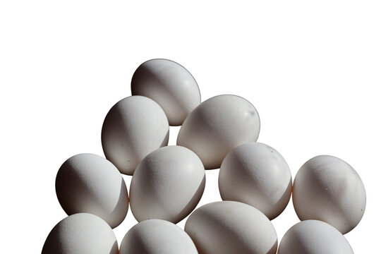 Varios huevos de gallina de color blanco en un fondo transparente 