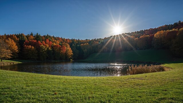 Scenic view of a lake with surrounding trees and a bright sun shining over the hills, capturing a peaceful natural landscape scene.