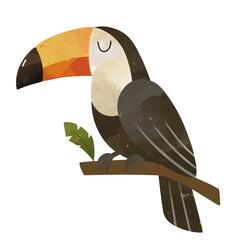 Obraz premium Watercolor toucan. Hand painted exotic bird illustration. Wild jungle safari birds.