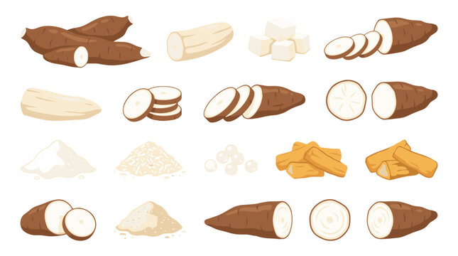Set of cassava root collection featuring whole tubers, sliced pieces, flour piles, and starch cubes, organic food ingredients, agriculture produce