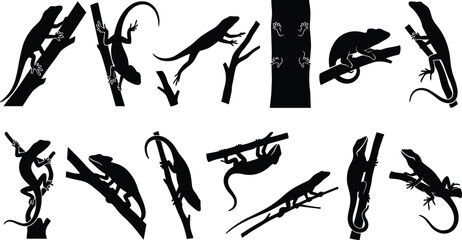 Lizard and Chameleon Vector Silhouette Collection Climbing Tree Branches for Nature and Wildlife Designs © mdAl
