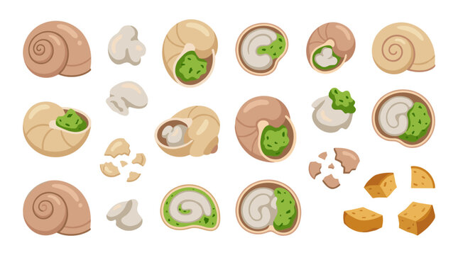 Set of cooked snails with green garlic herb butter, traditional french escargot dining experience, gourmet food menu illustration elements
