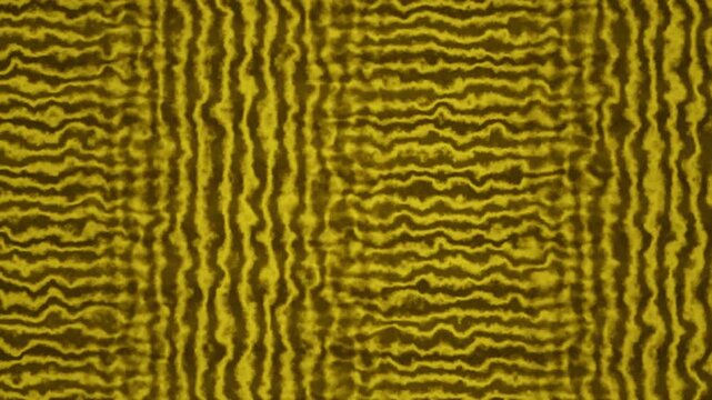 Vibrant yellow and olive stripes create a dynamic pattern with wavy and straight lines.