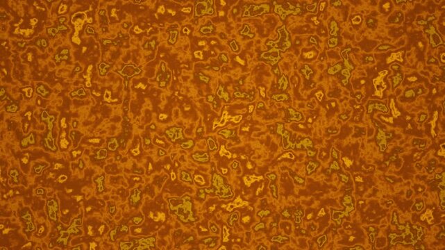 An intricate network of organic shapes in warm amber and brown tones creates a textured abstract surface resembling corroded metal or biological tissue.