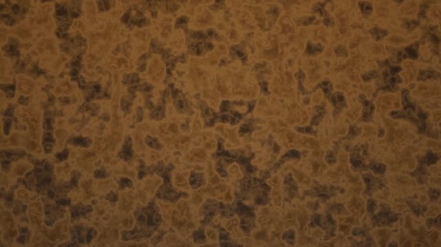 Textured brown surface with organic, weblike patterns resembling aged leather or bark.