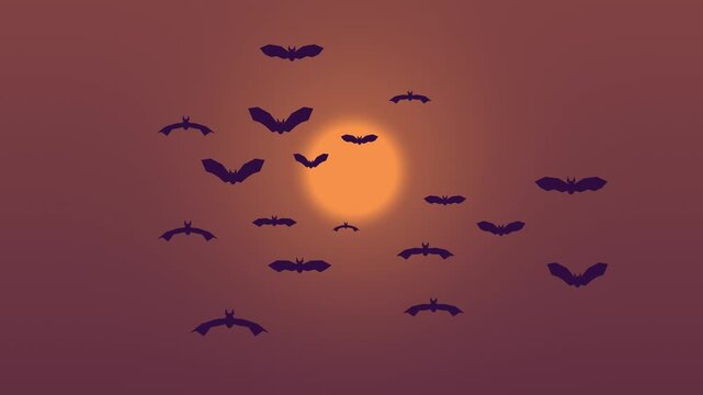 Halloween background of swirling vortex of flying bats, seamless loop in purple and orange twilight