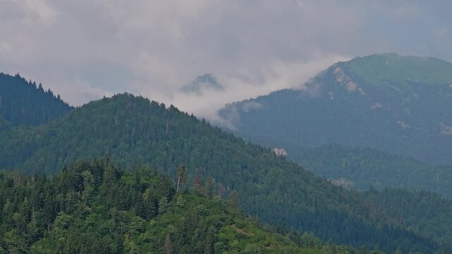 Misty clouds moving over lush green mountains