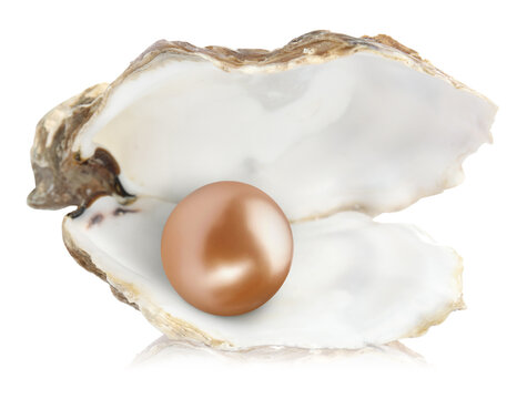 Open oyster and pearl isolated on white