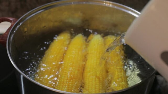 Fresh yellow corn cobs boiling in a large metal pot of corn water on the kitchen stove, more water being poured in from a kettle to help this corn cook well and evenly