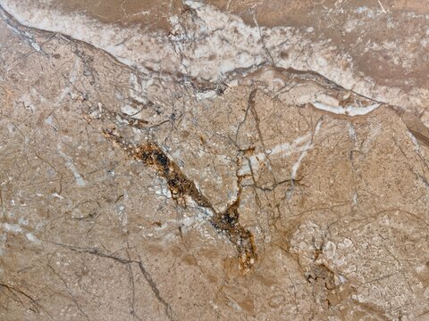 High-resolution close-up of a ceramic floor tile featuring a realistic natural stone pattern with earthy brown, beige, grey, and white marble-like textures.