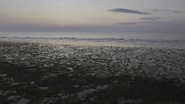 Aerial drone footage of sunrise over the mossy rocky beach at Phuoc Dinh Coast, Khanh Hoa, Vietnam, featuring emerald seaweed, golden light, crystal-clear sea and dramatic coastal scenery.